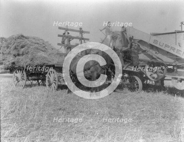 The threshing of oats, Clayton, Indiana, south of Indianapolis, 1936 Creator: Dorothea Lange.