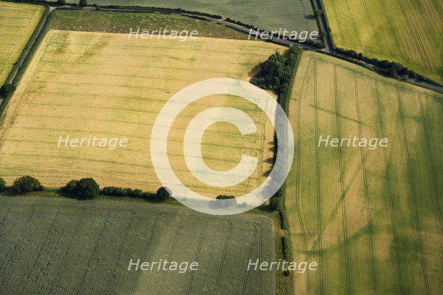 Roman camp, Bradford Abbas, Dorset, 2010. Artist: Damian Grady.