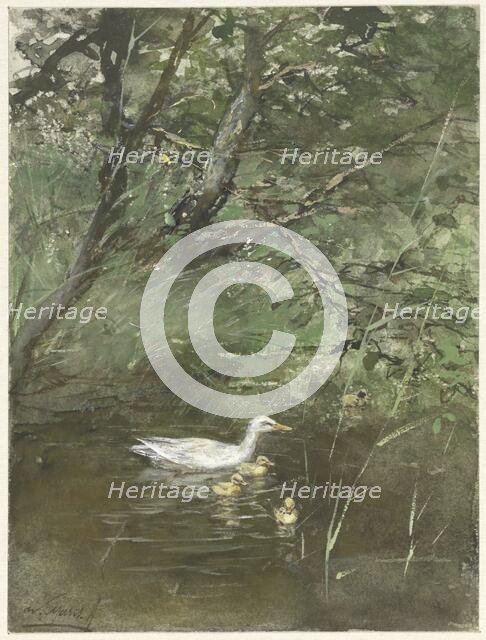 Ducks in the water, 1854-1892. Creator: Willem Maris.