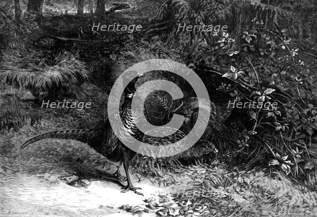 The Months: October, 1871. Creator: Horace Harral.