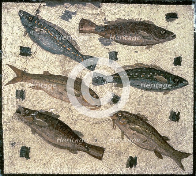 Mosaic from the Kircherian Museum.