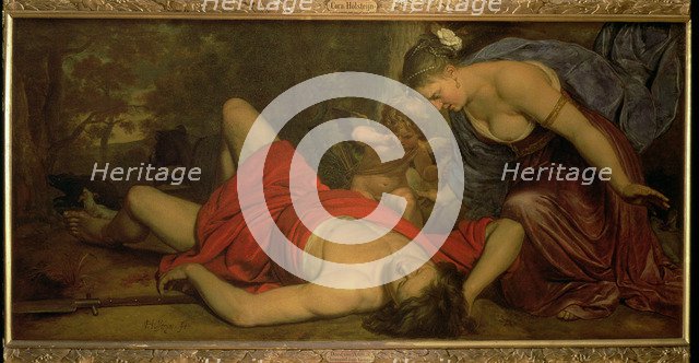  'Venus mourning the death of Adonis' by Cornelis Holsteyn.