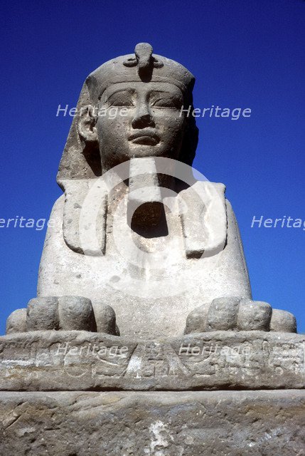 Frontal view of sphinx from the avenue of Sphinxes, Temple sacred to Amun Mut & Khons, Luxor, Egypt. Artist: Unknown