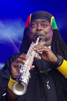 Courtney Pine, Love Supreme Jazz Festival, Glynde Place, East Sussex, 2014. Artist: Brian O'Connor.
