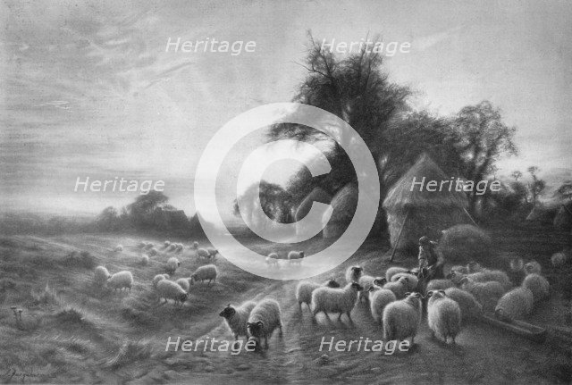 'Sheep Feeding', c1890, (1911). Artist: Joseph Farquharson.