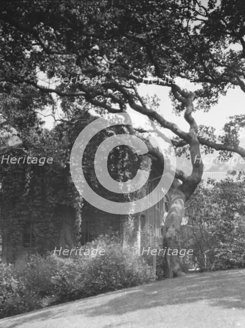 University of California at Berkeley views, 1927 Creator: Arnold Genthe.