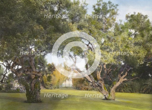 "La Chiquita," Francis Townsend Underhill house, Channel Drive, Montecito, California, 1917. Creator: Frances Benjamin Johnston.