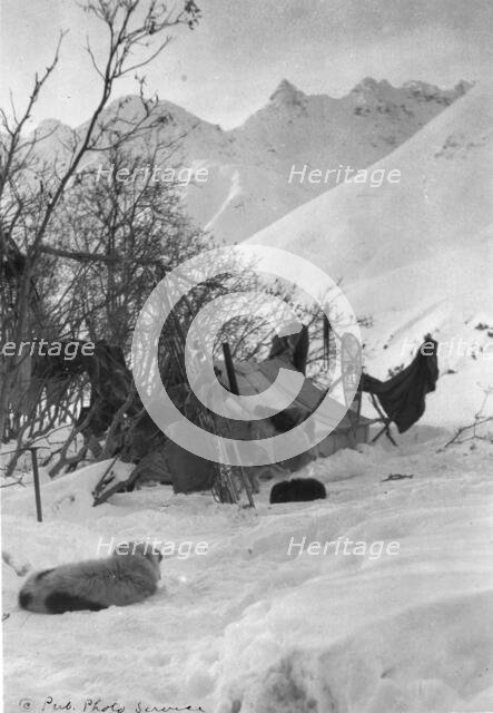 Explorer's tent and belongings anchored securely so they won't be blown away, c1900-c1930. Creator: Unknown.