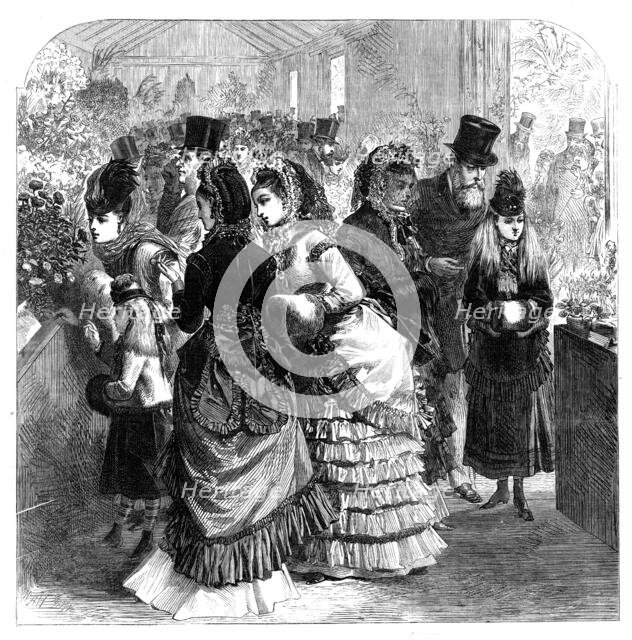 Show of Spring flowers in the Botanic Gardens, Regent's Park, 1870. Creator: Unknown.