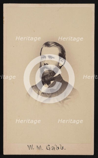Portrait of William More Gabb (1839-1878), 1864-1865. Creator: Silas Wright Selleck.