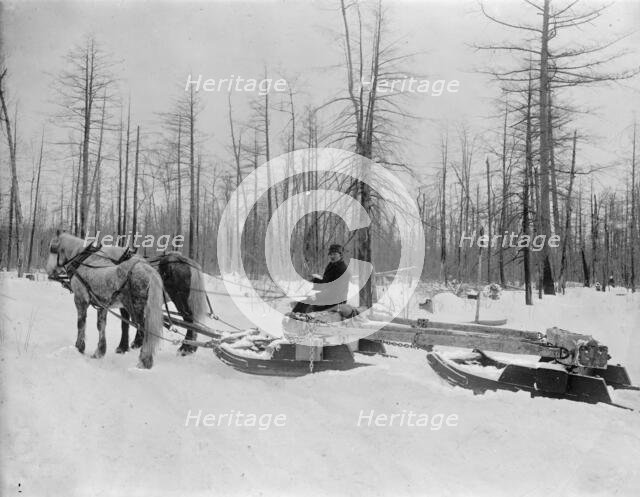 Logging in Michigan, the sled, between 1880 and 1899. Creator: Unknown.