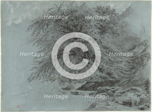 A Wild Beech in Full Leaf, 1858. Creator: Paul Huet.