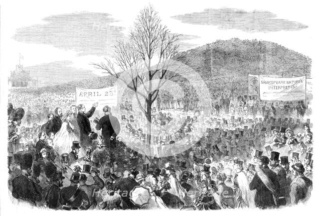 The Shakspeare Commemoration in London: planting an oak on Primrose Hill, 1864. Creator: Unknown.