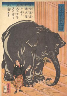 View of the Large Imported Elephant, 1863 (Bunkyo 3, 4th month). Creator: Taguchi Yoshimori.