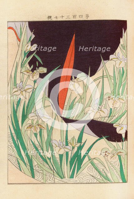 From the Series Yachigusa, 1902-1903. Creator: Seiko, Ueno (active 1890s-1900s).