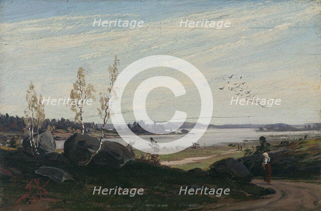 Migrating Birds, 1878. Creator: Fanny Churberg.