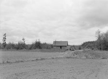 The Arnold farm, seen from road, Michigan Hill, Thurston County, Western Washington, 1939. Creator: Dorothea Lange.