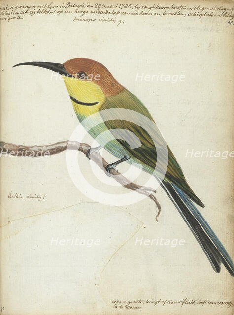 Small bird on branch, 1785. Creator: Jan Brandes.