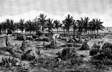 The last camping ground on the African mainland, 1890. Creator: Paterson.