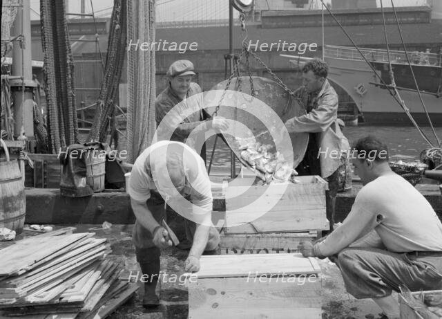 Dock stevedores packing and icing fish at the Fulton fish market, New York, 1943. Creator: Gordon Parks.