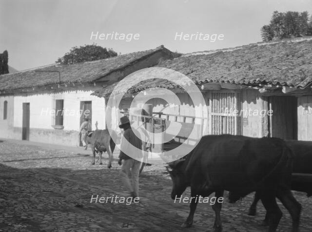Travel views of Cuba and Guatemala, between 1899 and 1926. Creator: Arnold Genthe.