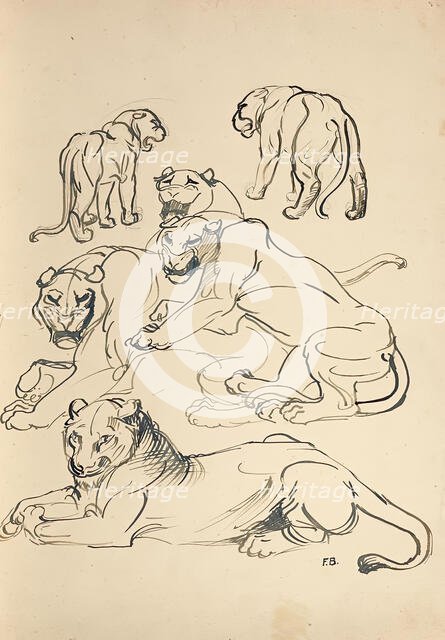 Six cougars, 1914. Creator: Franz Barwig the Elder.