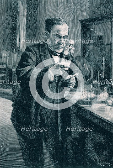 Pasteur, Louis (1822 - 1895), French chemist and bacteriologist,  engraving.
