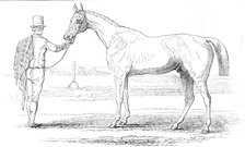 Colonel Peel's "Orlando", the winner of the Derby, drawn by J.F. Herring Sen. Esq., 1844. Creator: Unknown.