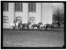 Society Circus, between 1910 and 1917. Creator: Harris & Ewing.