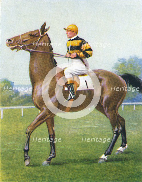 Golden Sovereign, Jockey: T. Weston', 1939. Artist: Unknown.