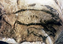 Panel 5, No. 94 Black Hall (Niaux cave): it has been interpreted as a dead female bison, by the o…