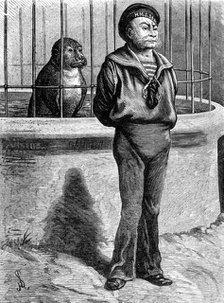 Odd Sketches at the Zoological Gardens: Messmates, 1881. Creator: Unknown.