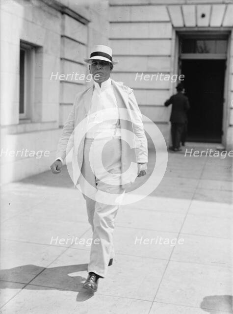 Joseph Travis Johnson, Rep. from South Carolina, 1913. Creator: Harris & Ewing.