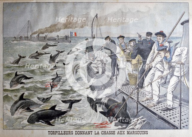 French torpedo boat's hunting porpoises, 1903. Artist: Unknown