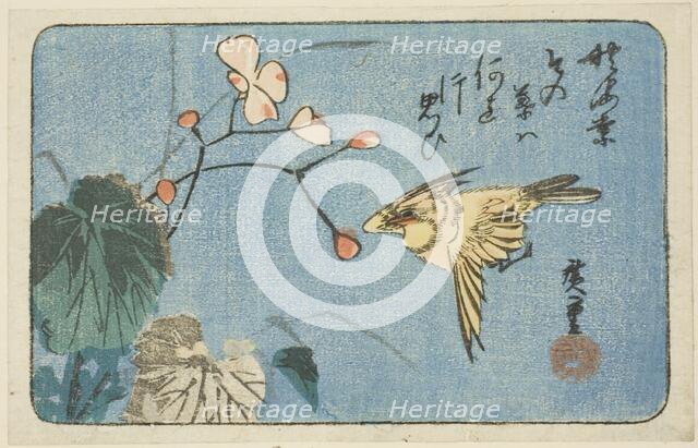 Yellow bird and begonia, n.d. Creator: Ando Hiroshige.