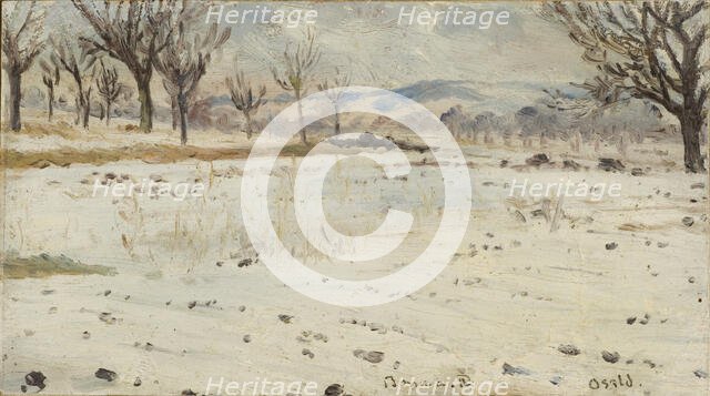 Bonn am Rhein. Winter Landscape. Creator: Helmer Osslund.