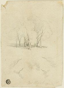 Clump of Trees, n.d. Creator: James Duffield Harding.