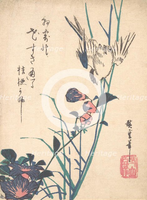 Large-flowered Flat Bill and Sparrow, ca. 1833., ca. 1833. Creator: Ando Hiroshige.