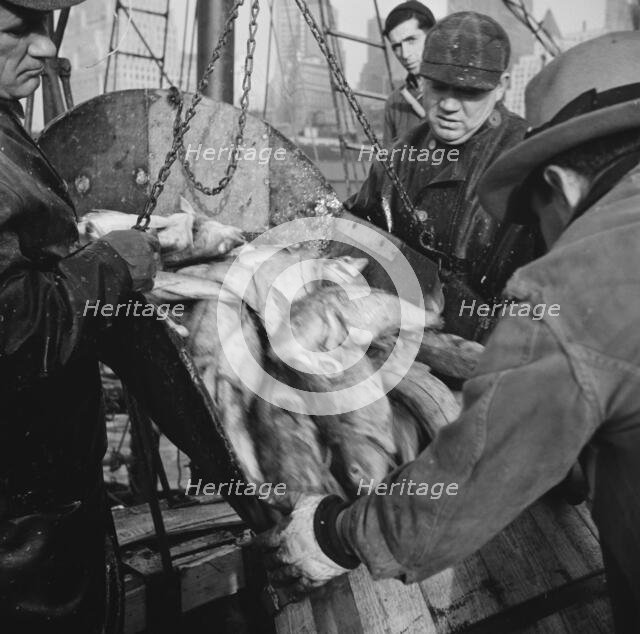 Possibly: New England fishermen unloading fish at Fulton fish market, New York, 1943. Creator: Gordon Parks.