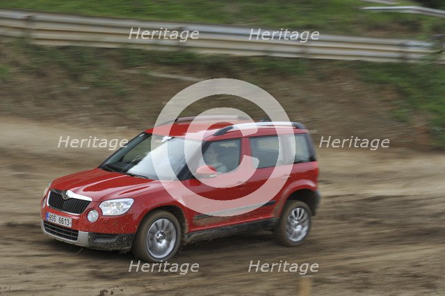 Skoda Yeti 2009. Artist: Simon Clay.