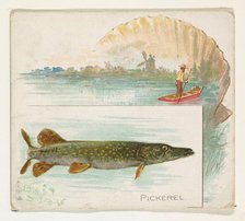 Pickerel, from Fish from American Waters series (N39) for Allen & Ginter Cigarettes, 1889. Creator: Allen & Ginter.