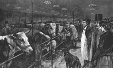 ''The Smithfield Club Cattle Show at the Agricultural Hall', 1891. Creator: George Harrison.