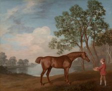 Pumpkin with a Stable-lad, 1774. Creator: George Stubbs.