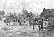 ''The Racing Season- Notes at Newmarket; Young Thoroughbreds at home', 1890. Creator: Unknown.