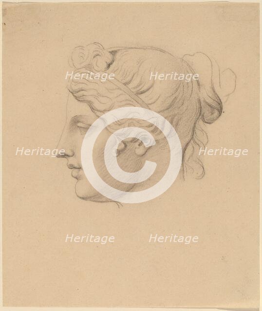 Classical Head in Profile. Creator: Horatio Greenough.