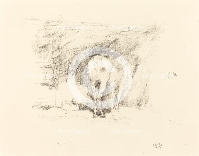 Study of a Horse, 1895. Creator: James Abbott McNeill Whistler.
