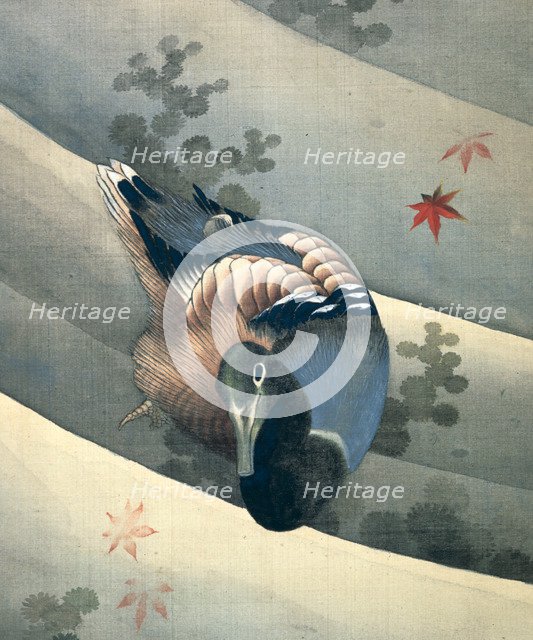 'Duck Swimming in Water', 1847. Artist: Hokusai