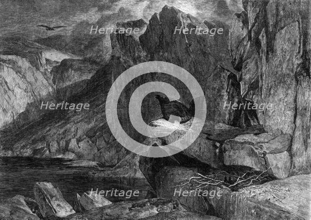 "The Eagle's Nest", by Sir E. Landseer in the South Kensington Museum, 1861. Creator: W Thomas.