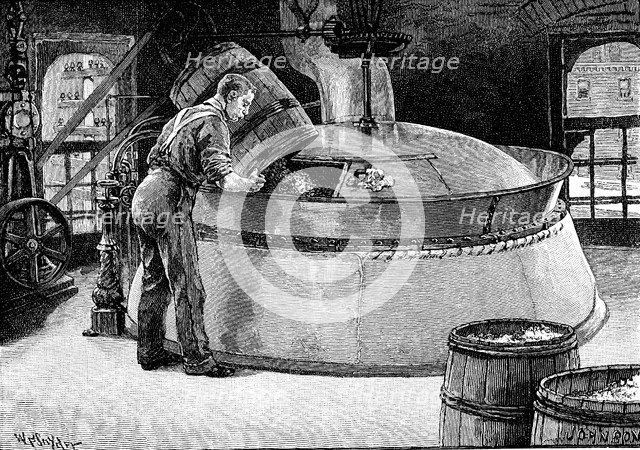Adding hops to boiling beer in an American brewery, 1885 Artist: Unknown
