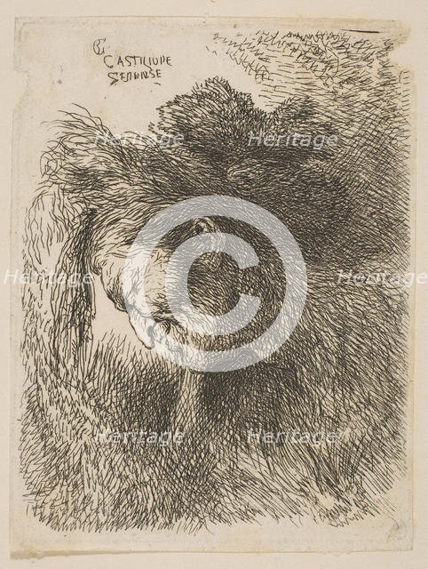 Head of an old man looking down, facing left, from the series 'Small Studies of He..., ca 1645-1650. Creator: Giovanni Benedetto Castiglione.